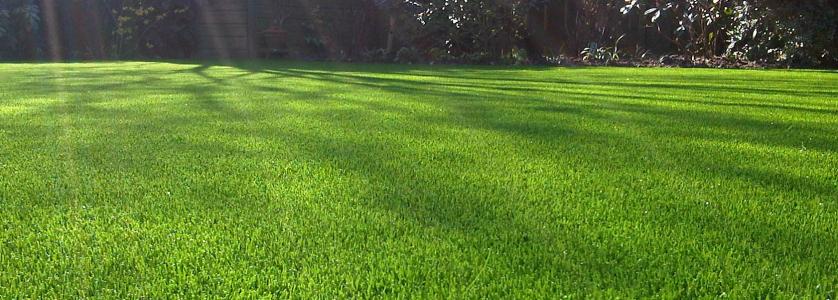 Kunstgras Twente